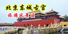 jk插进去女生阴道出水黄视频中国北京-东城古宫旅游风景区